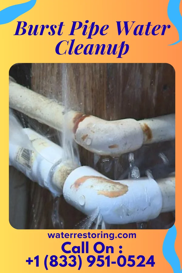 Burst Pipe Water Cleanup in Chambersburg, PA