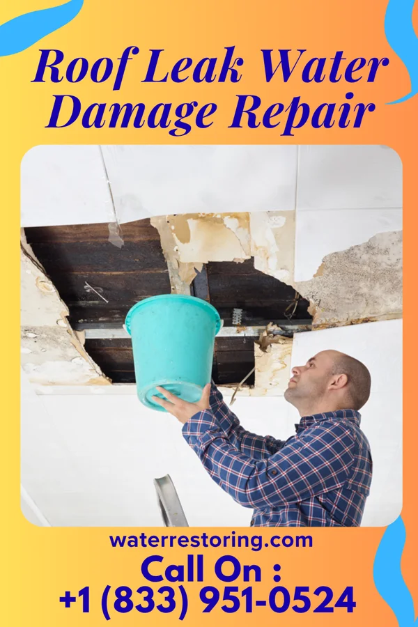 Roof Leak Water Damage Repair in Chambersburg, PA