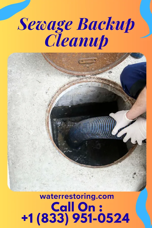 Sewage Backup Cleanup in Chambersburg, PA